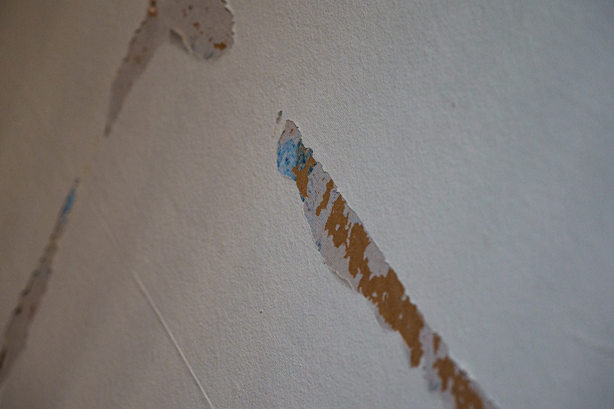 Water Extraction service in South Fulton, GA